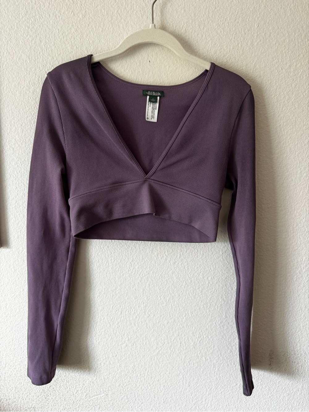 wild fable Plum V-Neck Long-Sleeve Cropped Top